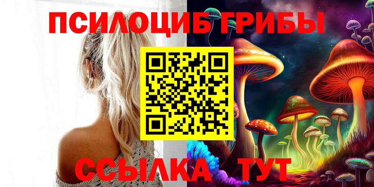 Галлюциногенные грибы GOLDEN TEACHER Лесозаводск