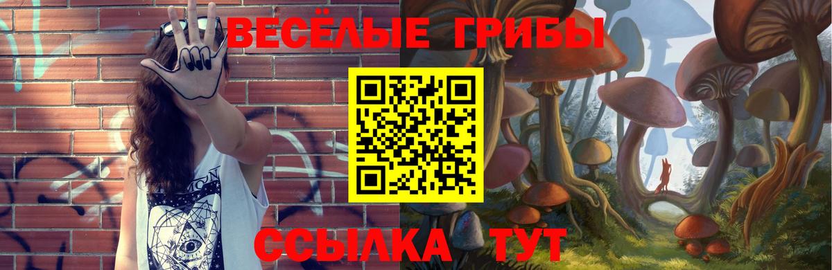 Галлюциногенные грибы мицелий  Вход с VPN  Лесозаводск 